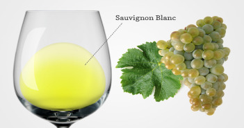 Degustazione comparativa Sauvignon Blanc