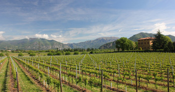 2-3 Maggio 2015 – Visita in Franciacorta