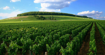 Borgogna e Champagne: Patrimonio Unesco