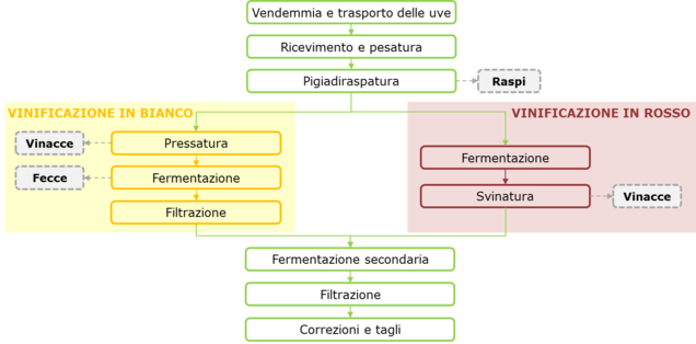 c94a27d407-Processo vinificazione