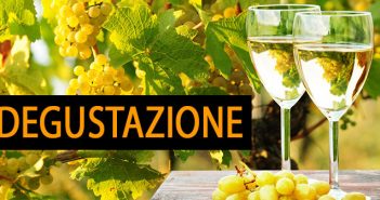 Degustazione Puro Vermentino Slow