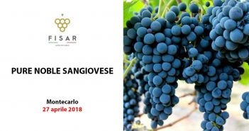 Pure noble 100% Sangiovese