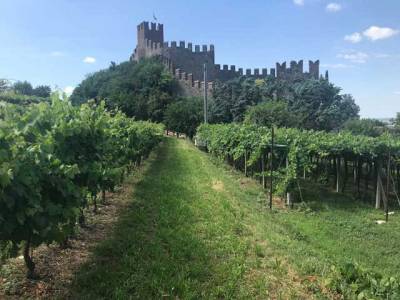180623-valpolicella-00