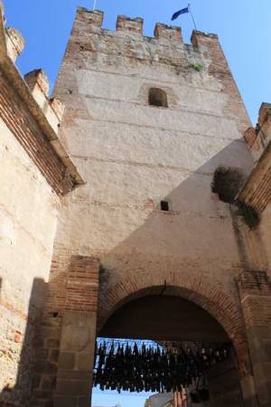 180623-valpolicella-01