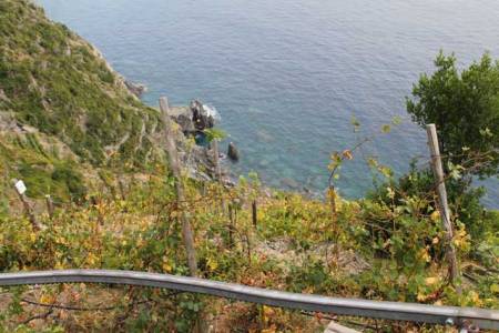 181007-5terre-4464
