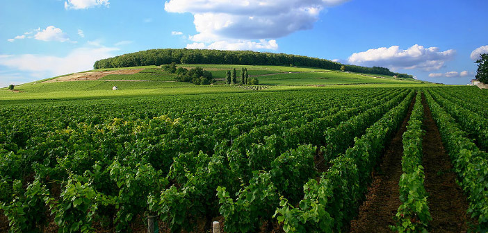 e Champagne Patrimonio Unesco Fisar Montecarlo