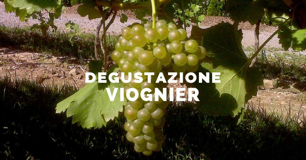 Degustazione Viognier a Montecarlo