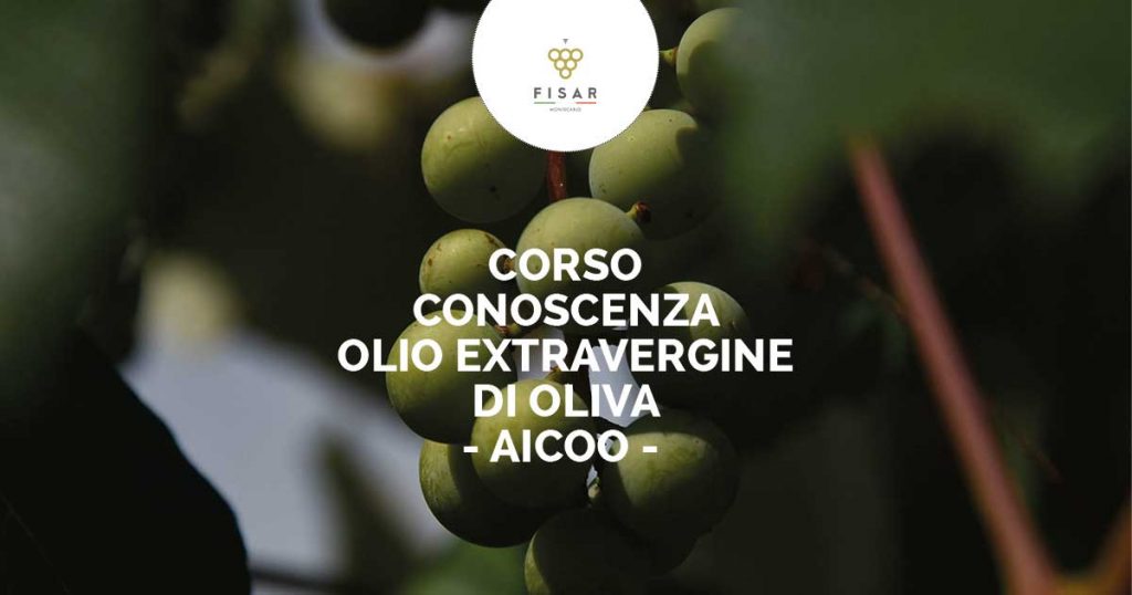 Corso Conoscenza Olio Extravergine di Oliva