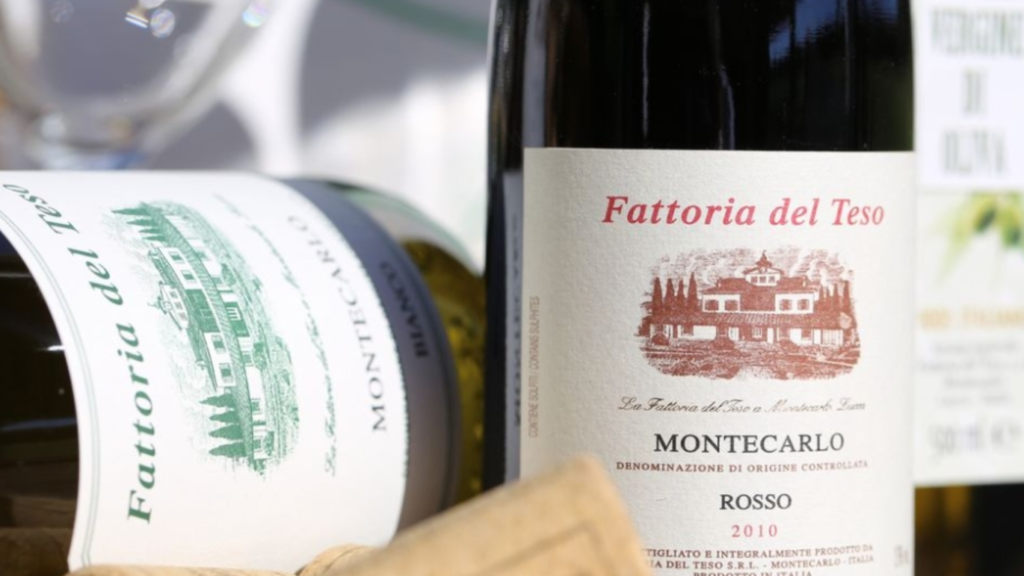 Visita Fattoria del Teso